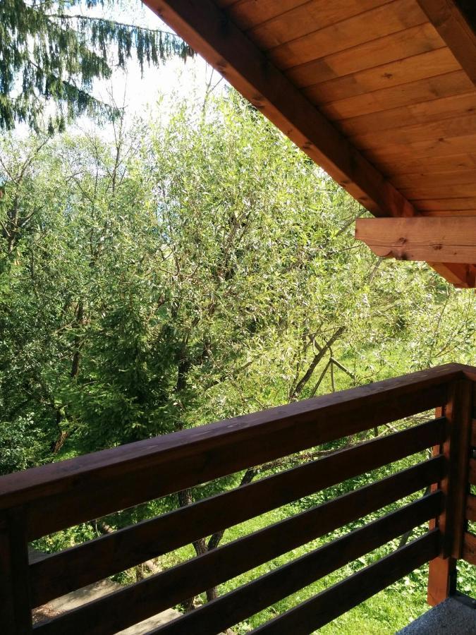 Casuta Pietrosul Rodnei Lägenhet Borşa Exteriör bild